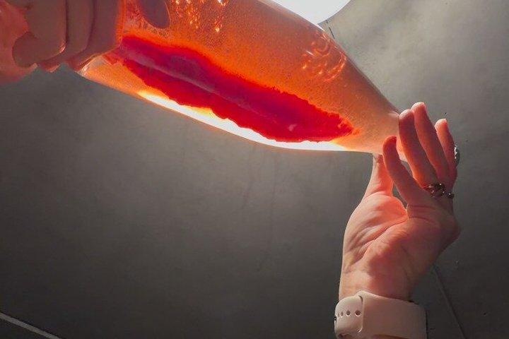 Visita a una tenuta di Champagne a conduzione familiare vicino a Reims