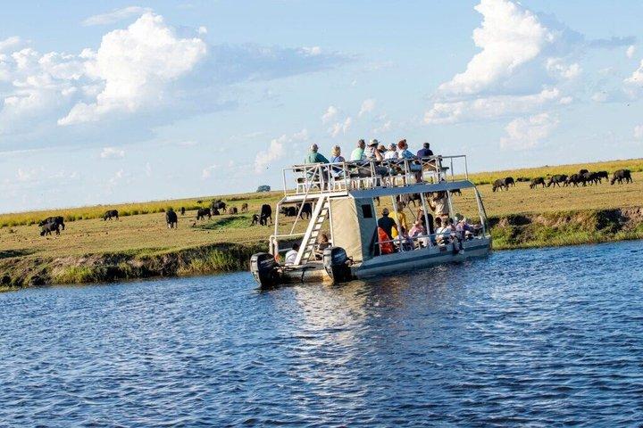 2 dias okavanga delta luxo safari escape