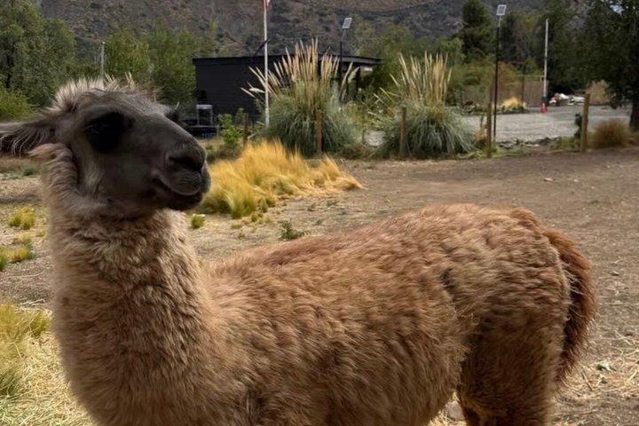 Tour del Cajón del Maipo: Riserva, Natura e Picnic