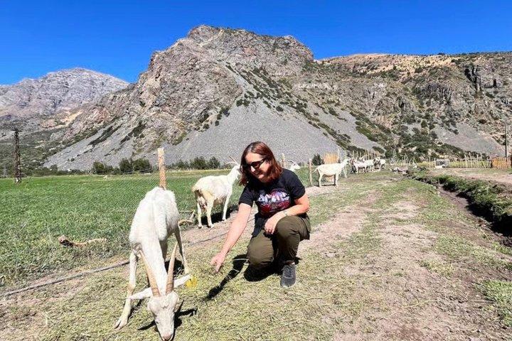 Tour del Cajón del Maipo: Riserva, Natura e Picnic