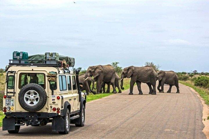 2-Day Budget Greater Kruger Camping Safari