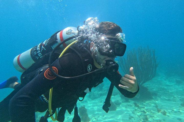 Diving Safari Tayrona Park For Certificates or Beginners