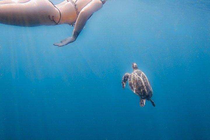 海での水中写真撮影-ソレント・ポジターノ・アマルフィより