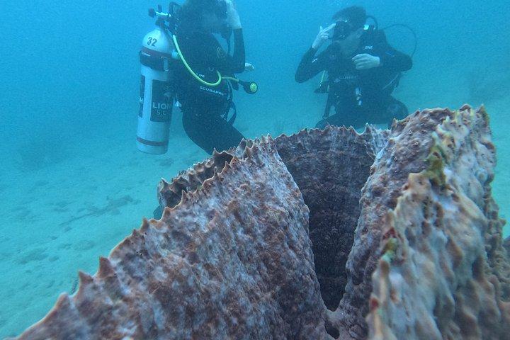 Diving Safari Tayrona Park For Certificates or Beginners