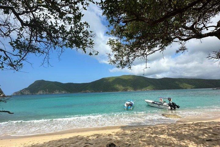 Safari di immersioni nel Parco Nazionale di Tayrona per professionisti certificati o principianti.