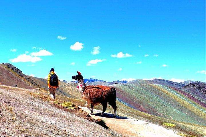 Private Palcoyo Rainbow Mountain & Alpaca Walk Experience