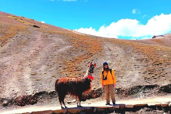 Private Palcoyo Rainbow Mountain & Alpaca Walk Experience
