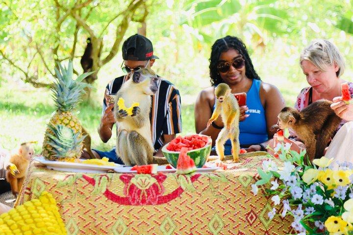 Monkey House VIP Punta Cana – Excursão Educativa com 4 Espécies