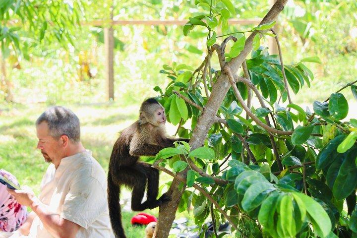 Monkey House VIP Punta Cana – 4 Arters Uddannelsestur