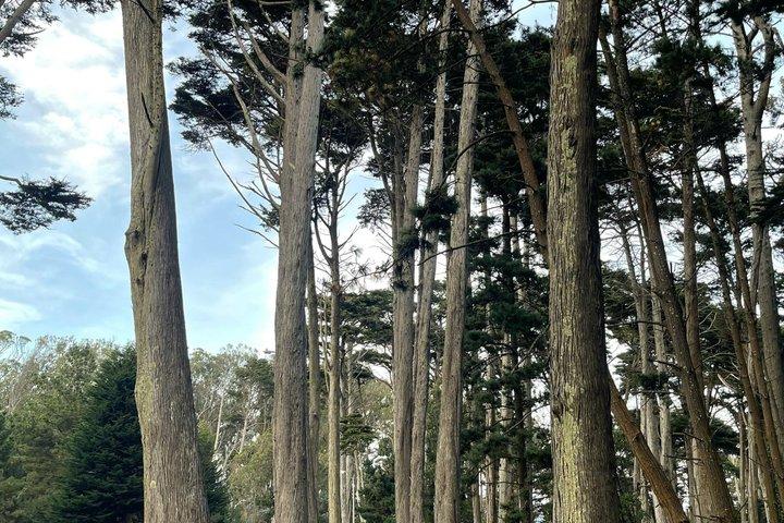 Lands End Coastal Adventure