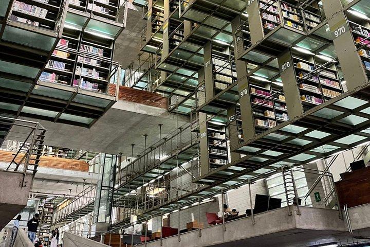 Santa Maria la Rivera floating bookstore, murals and pulque
