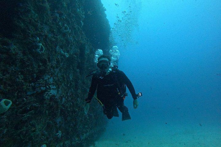 2-Tank Scuba Dive: Puerto Morelos Reef & Shipwreck | Small Groups
