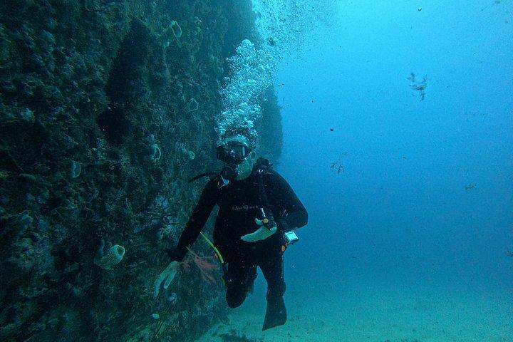 2-Tank Scuba Dive: Puerto Morelos Reef & Shipwreck | Small Groups