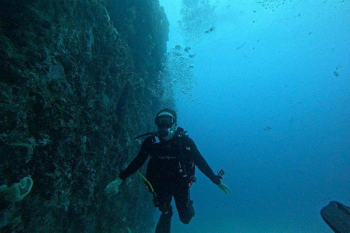 2-Tank Scuba Dive: Puerto Morelos Reef & Shipwreck | Small Groups