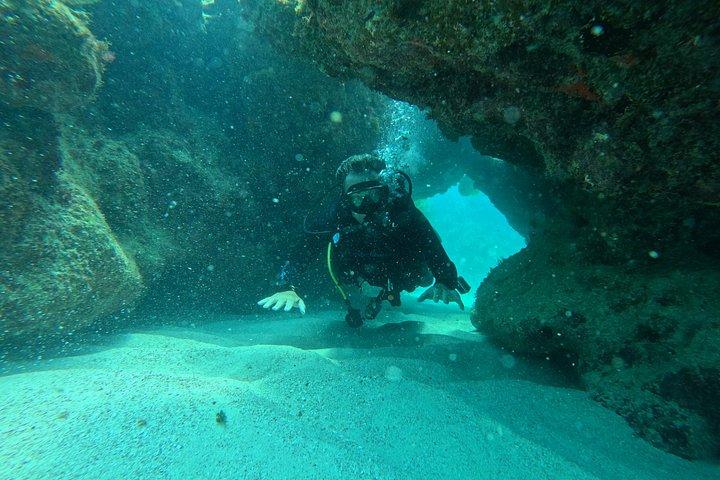 2-Tank Scuba Dive: Puerto Morelos Reef & Shipwreck | Small Groups