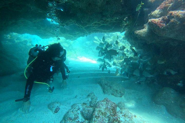 2-Tank Scuba Dive: Puerto Morelos Reef & Shipwreck | Small Groups