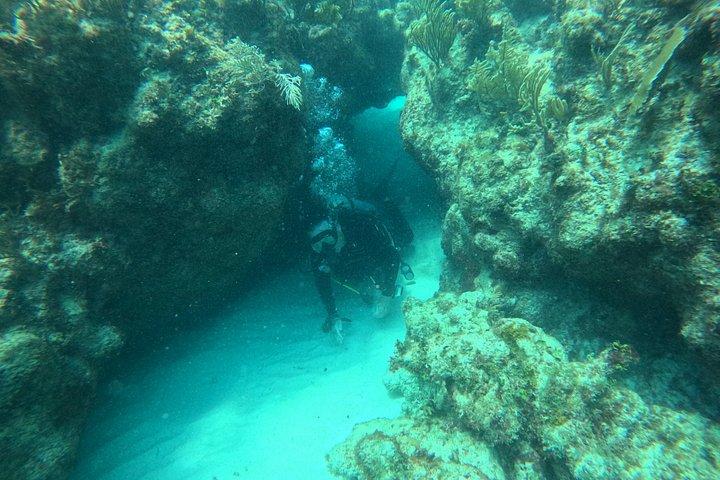 2-Tank Scuba Dive: Puerto Morelos Reef & Shipwreck | Small Groups