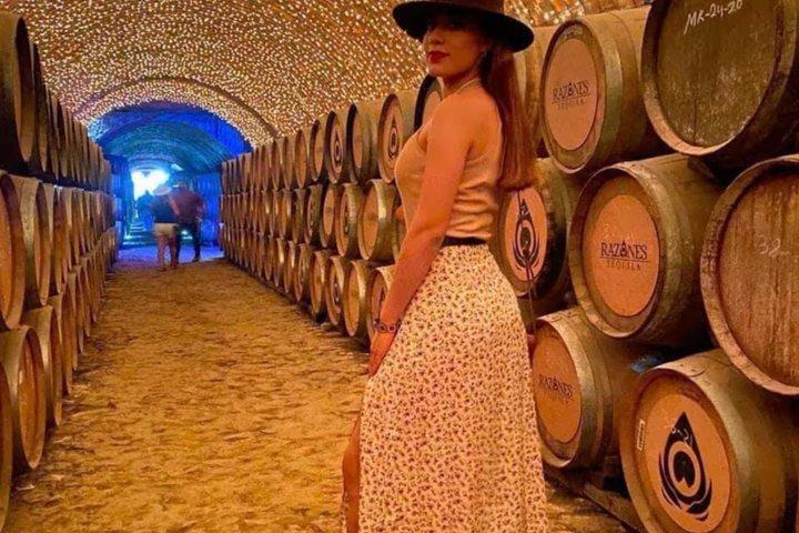 Tour Pueblo Mágico de Tequila desde Guadalajara