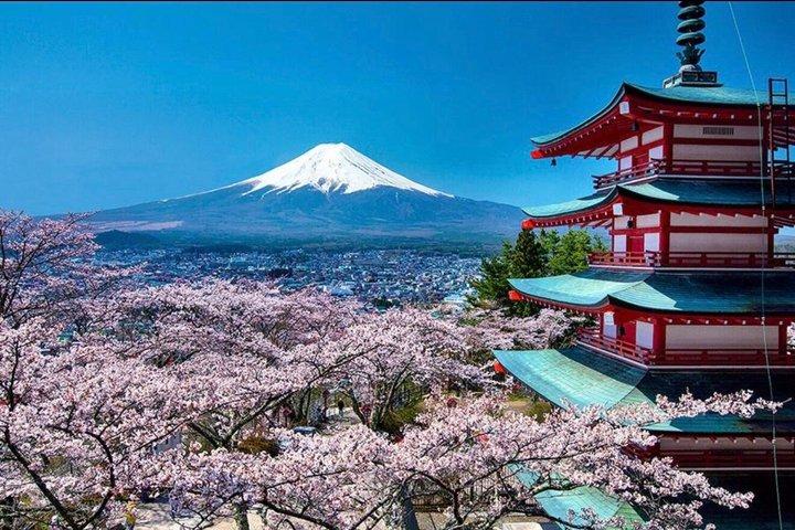 富士山1日カスタマイズプライベートツアー英語ガイド付き