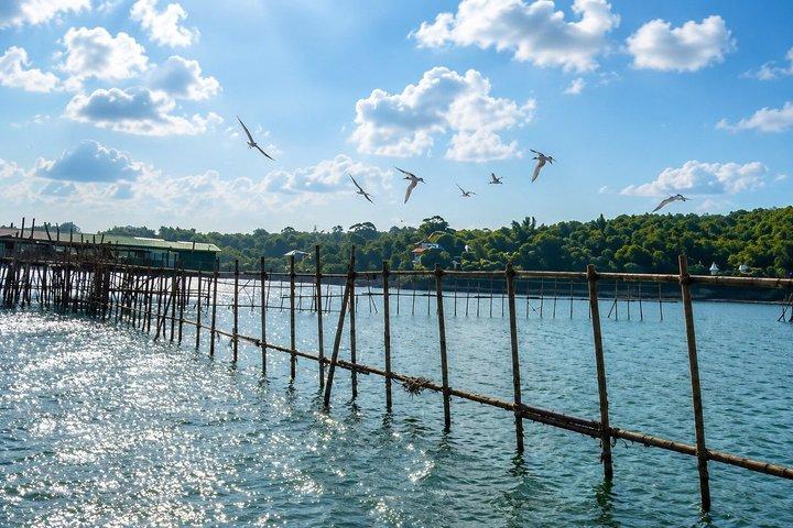 消えゆくケロン : ウビン島を巡るシンガポールボートツアー