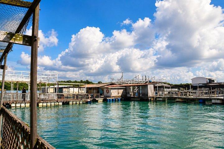 消えゆくケロン : ウビン島を巡るシンガポールボートツアー