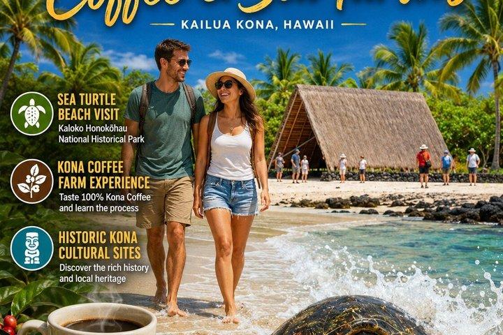 Escursione a Kona Shore: tartarughe marine, Kona storica e caffè