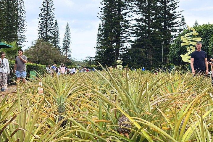 Oahu: Dole Plantation and Ko Hana Distillery with Rum Tasting