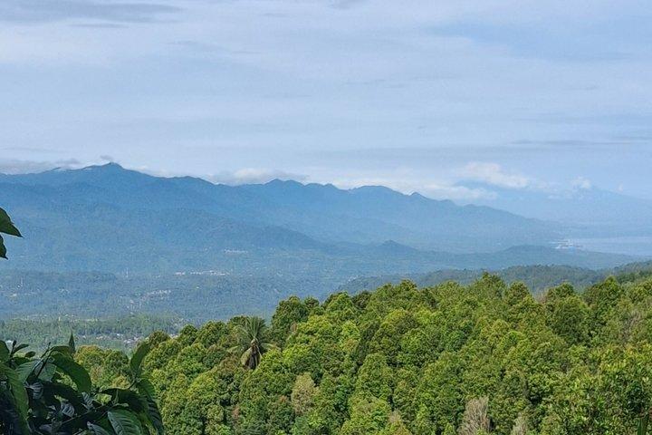 バリ島日帰りツアー：ライステラス、モンキーフォレスト、滝