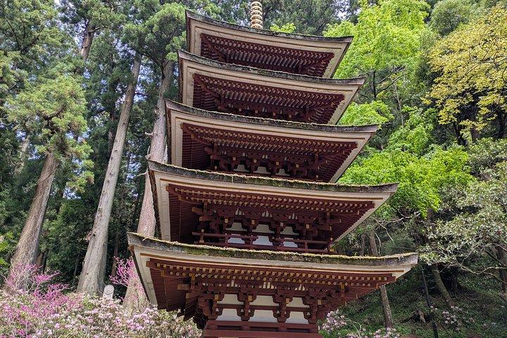 Day Tour from Osaka Muroji Temple Dragon Shrine and Art Forest