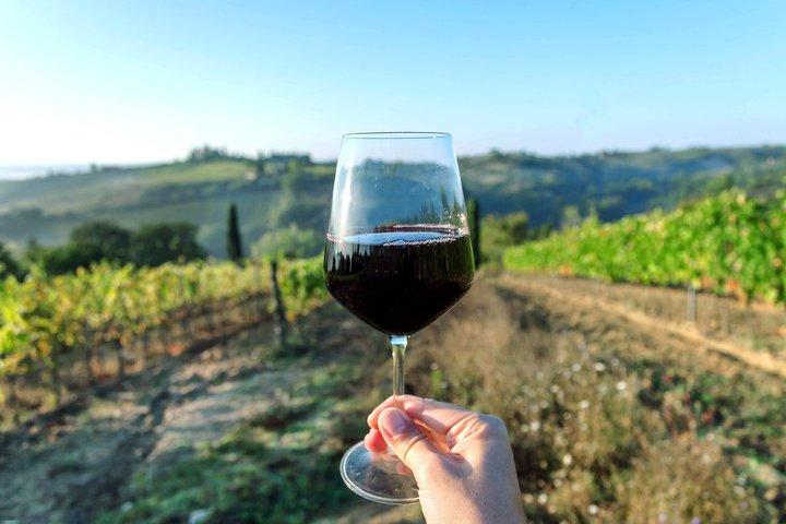 Privat Barcelona Vingård Tasting Shore Tour