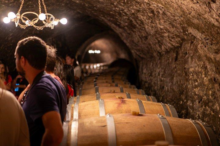 Ribera del Duero Weingüter Führung & Weinprobe ab Madrid