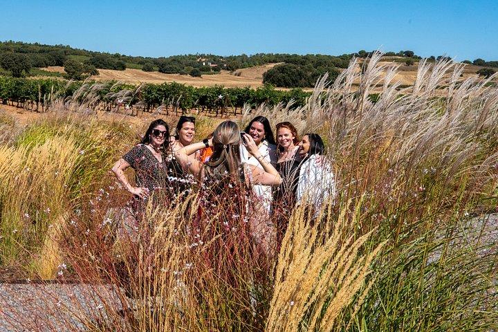 Ribera del Duero Weingüter Führung & Weinprobe ab Madrid