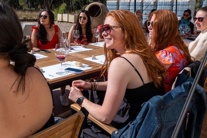 Ribera del Duero Weingüter Führung & Weinprobe ab Madrid