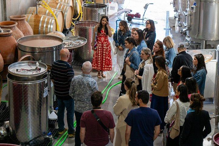 Ribera del Duero Weingüter Führung & Weinprobe ab Madrid