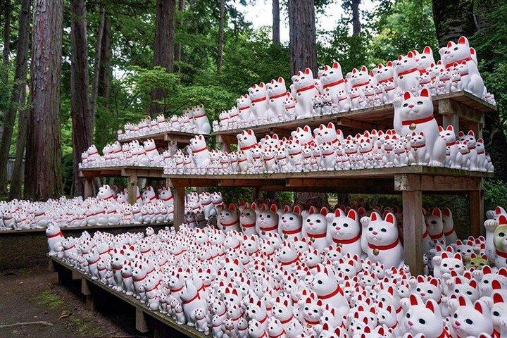 Tokyo's Lucky Cat Gotokuji: 1000 Maneki Neko & en gömd helgedom