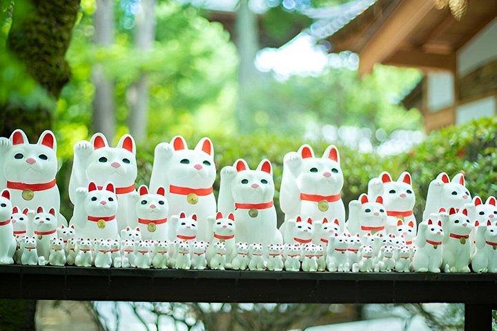 東京の福猫豪徳寺 1000匹の招き猫と隠れた神社