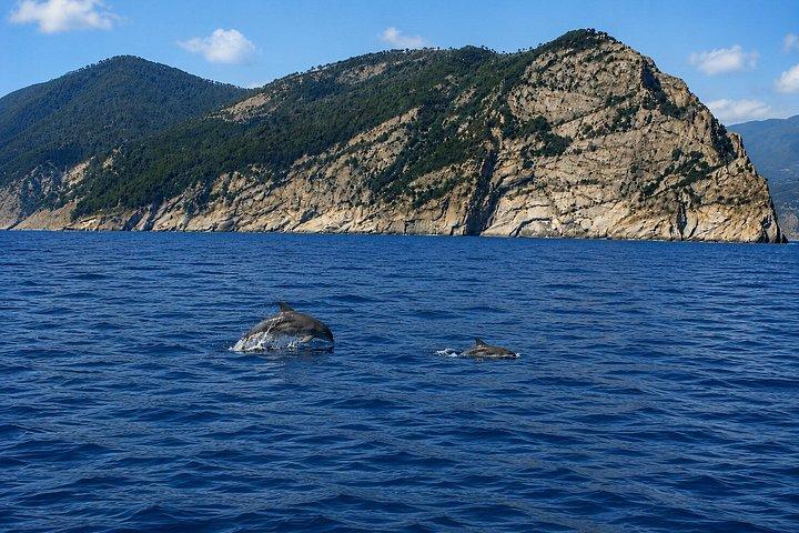 5 TERRE：パーソナルボートツアー！ 地元の船長。 最大5名様まで