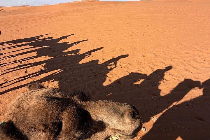 5-dages Marrakech til Merzouga ørken tur