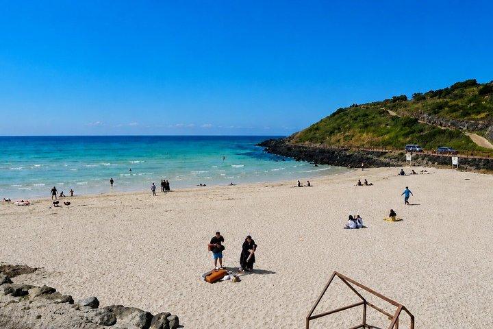 Jeju Private Car Charter Tour