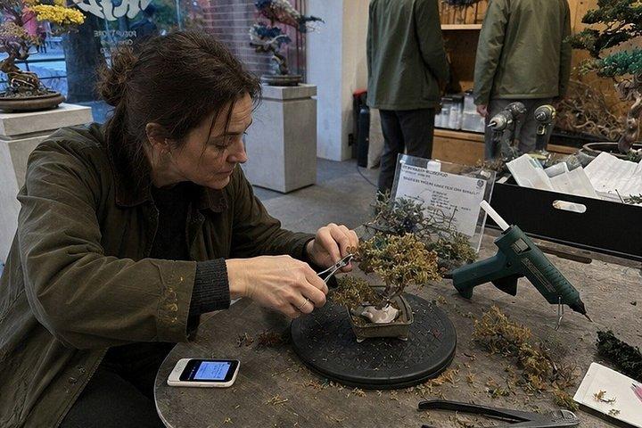 京都・嵐山で盆栽作りワークショップ＆お持ち帰り