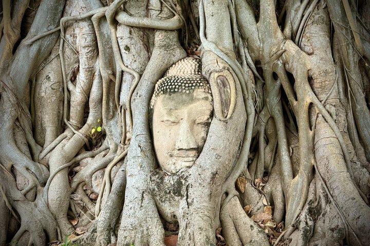 Bangkok : Privé Ayutthaya-ervaring met boottocht en tickets