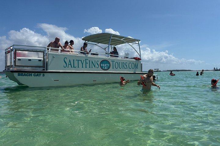 Shell Island Snorkeling e visita dei delfini