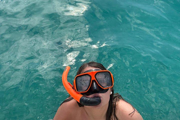 Shell Island Snorkeling e visita dei delfini