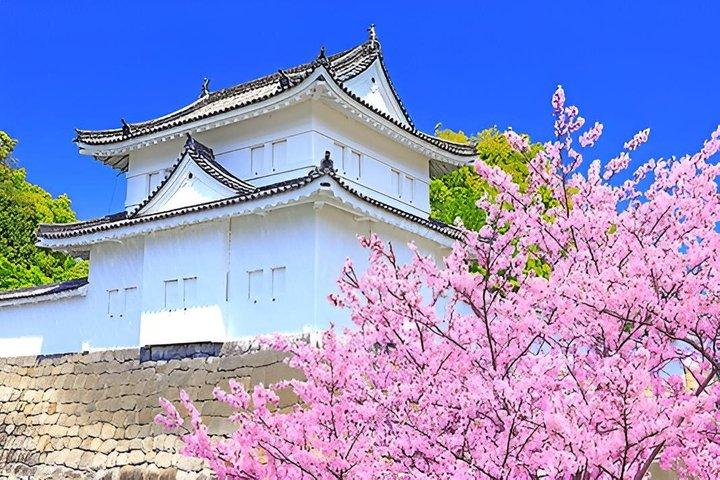 Nijo Castle Samurai Inside Story — Guide le mieux noté(e)s (Max 8)
