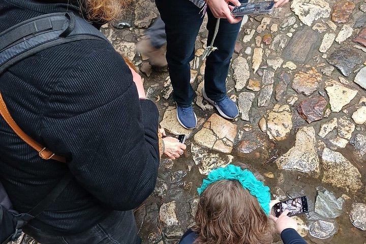 イスタンブールのグランドバザールの隠れた隅を写真に収める