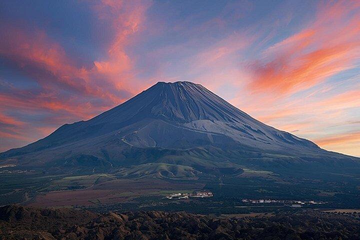 ナポリ : ヴェスヴィオ山入場チケット
