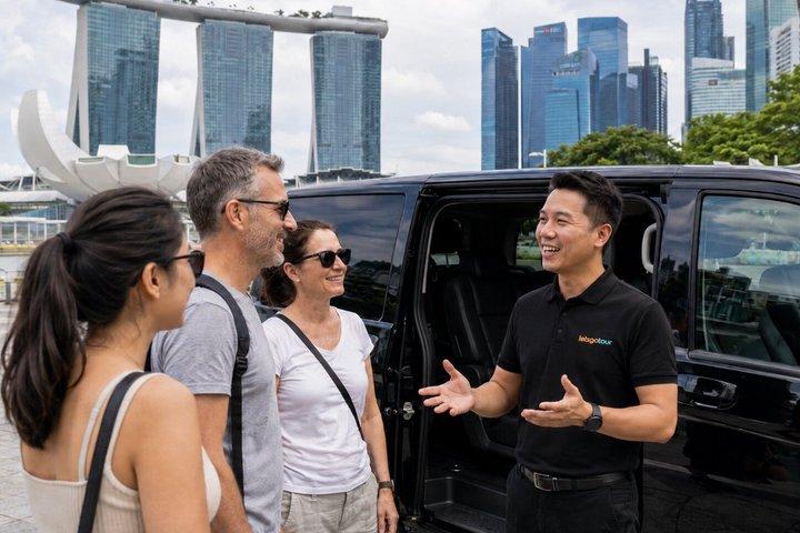 Tour privato di Singapore in auto con Guida locale e gemme nascoste