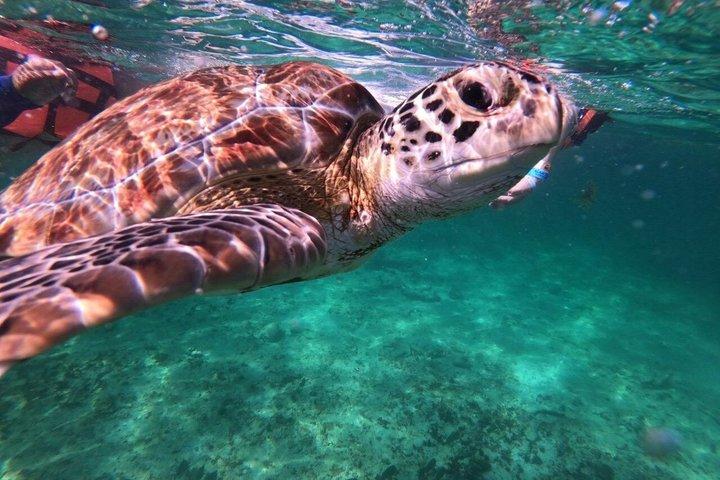 Tulum Snorkling och Maya ruiner Utsikt från havet