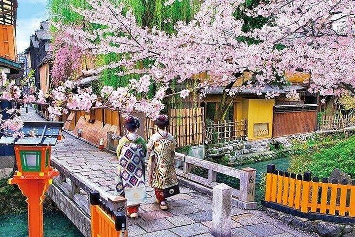Kyoto 5-Star Geisha Night Walk: Small-Group Authentic Experience