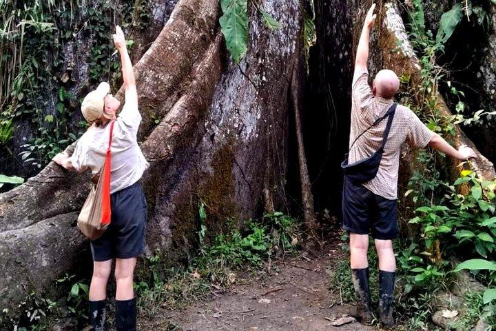 Spectacular Amazon Rainforest 3 Days 2 Nights Peru Amazon Tours